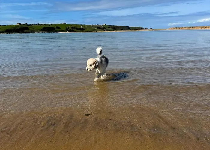 Mirador De Usil Apartment